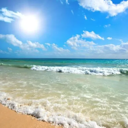 In Casa Del Sol * 阳光海滩